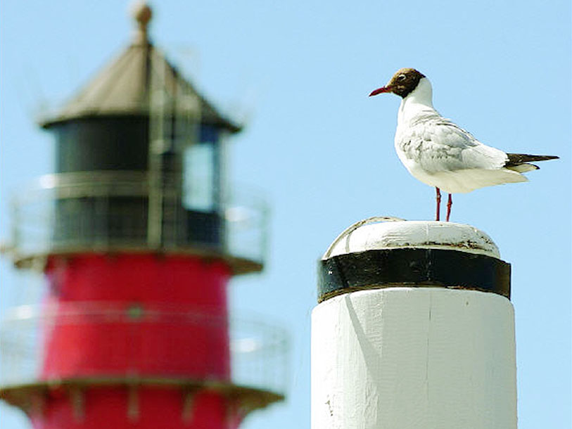 Büsum i Nordtyskland ligger helt ud til Vesterhavet