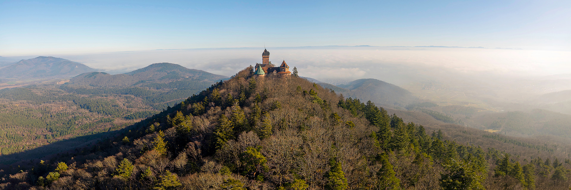 Le jean sebastien bach