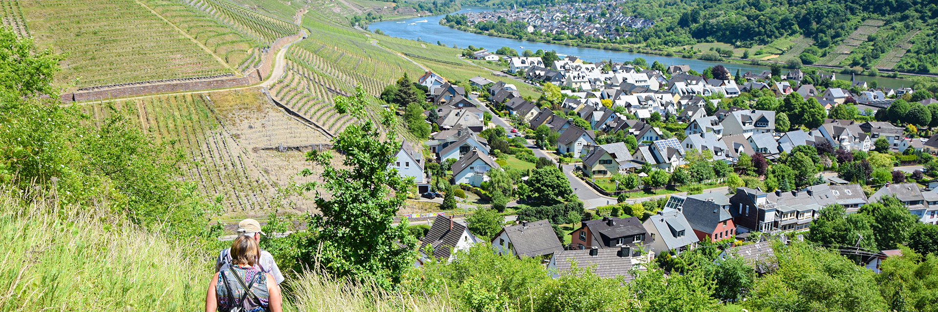 Wein und gastehaus ames