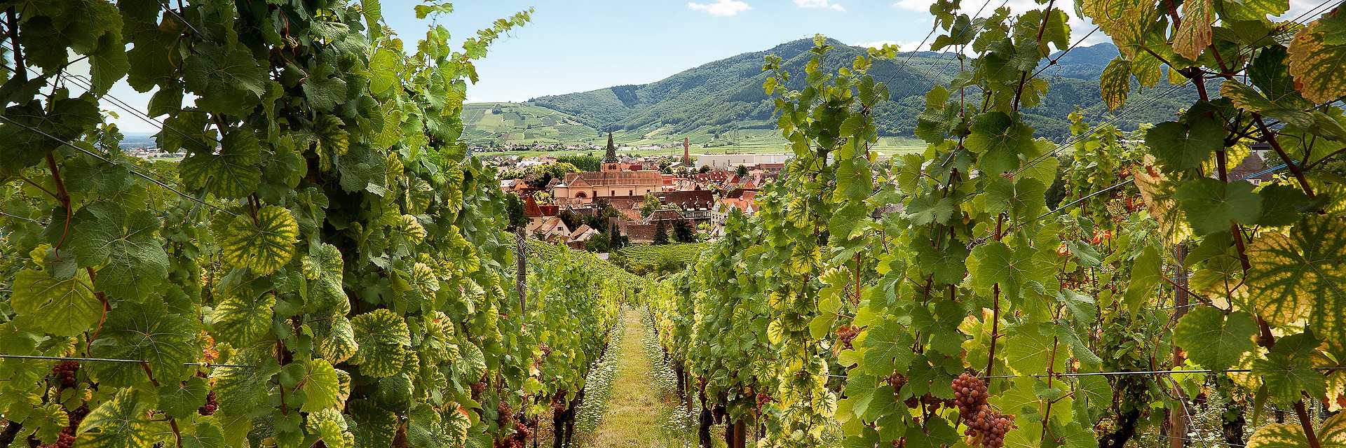 Hotel la ferme du pape
