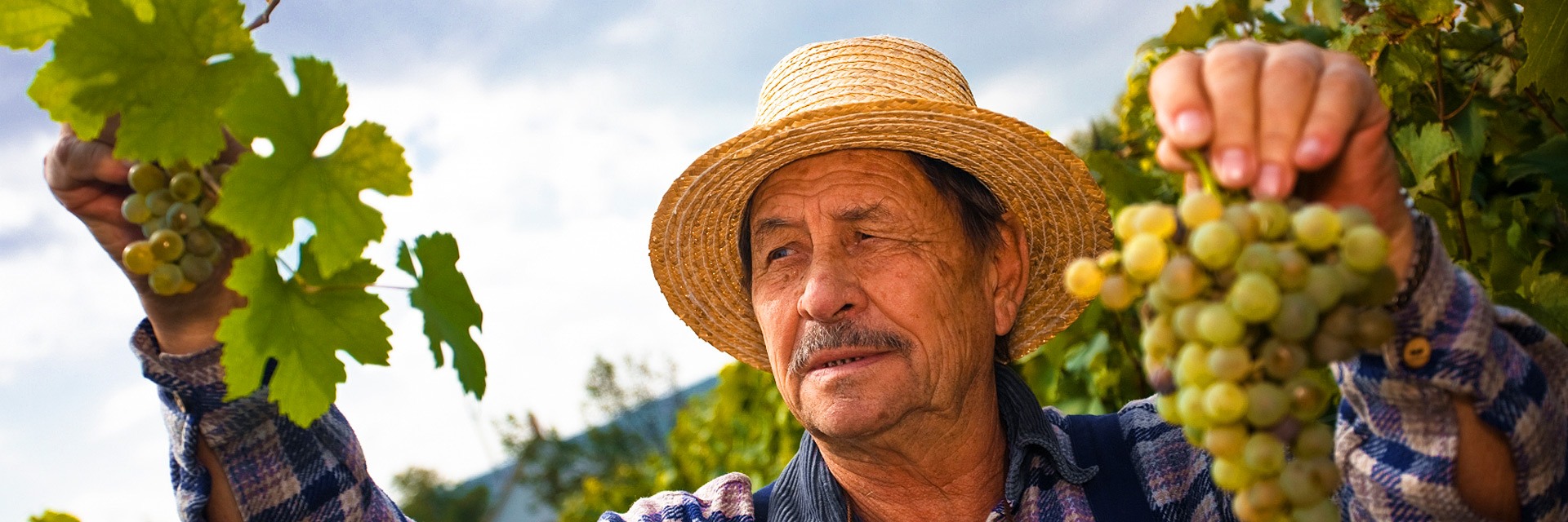 Hotel la ferme du pape