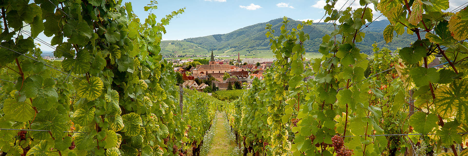 Hostellerie le verger des chateau
