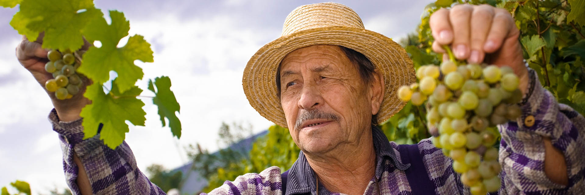 Hostellerie le verger des chateau