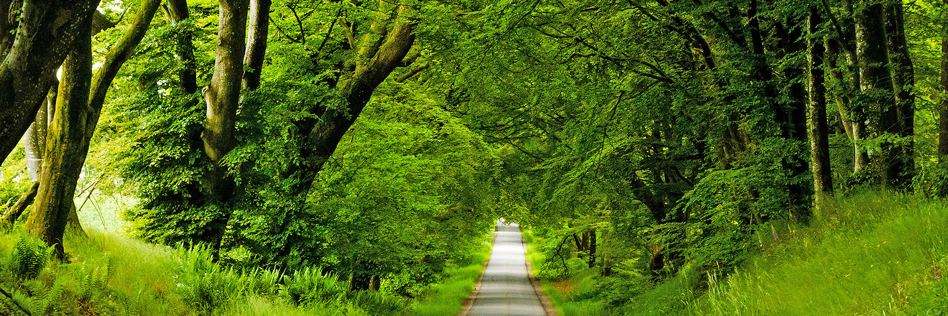 Comwell rebild bakker