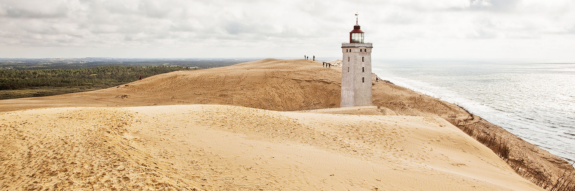 Comwell hvide hus aalborg