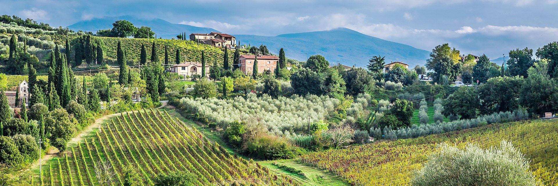 Fattoria degli usignoli
