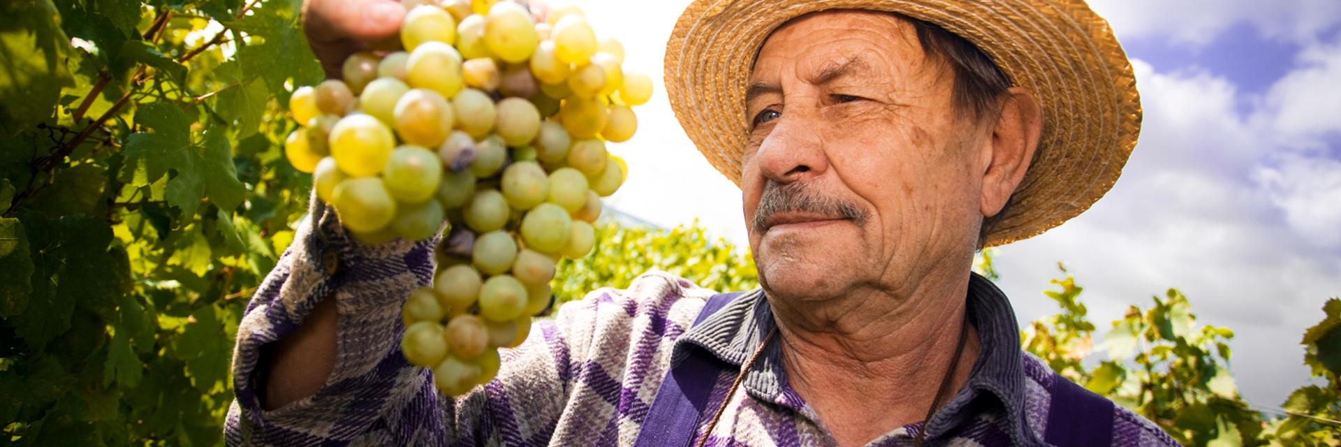 Weinberghotel nalbach