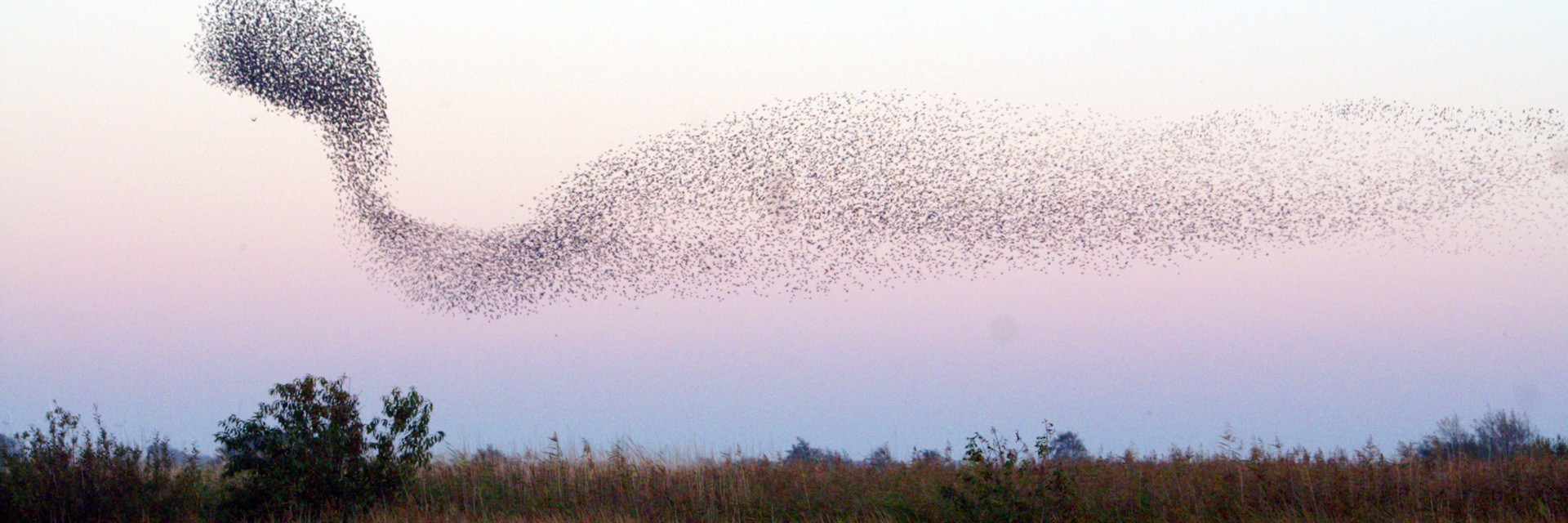 Hotel arlau schleuse