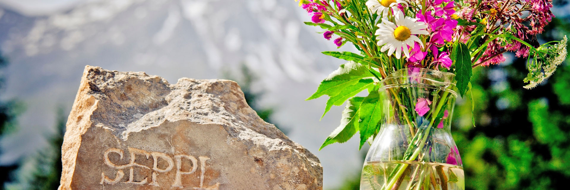 Sport und vitalhotel seppl