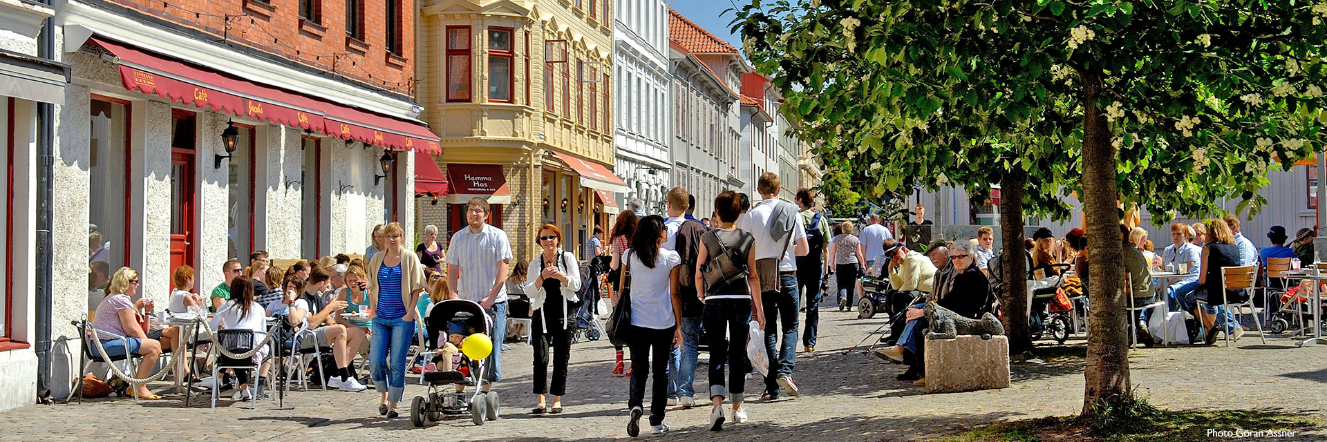 Good morning goteborg_02