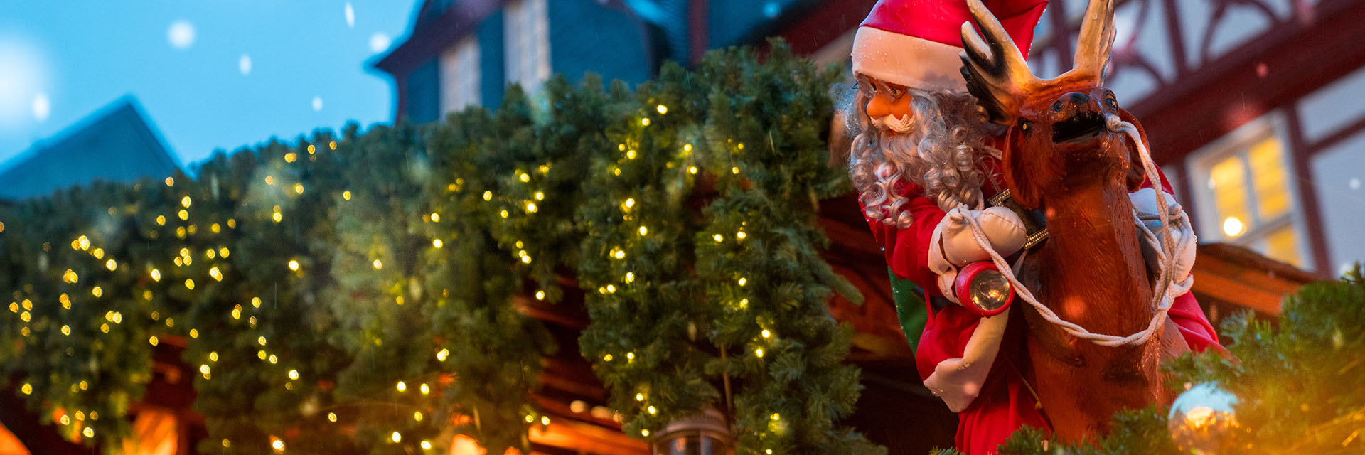 Landhotel schimmelreiter