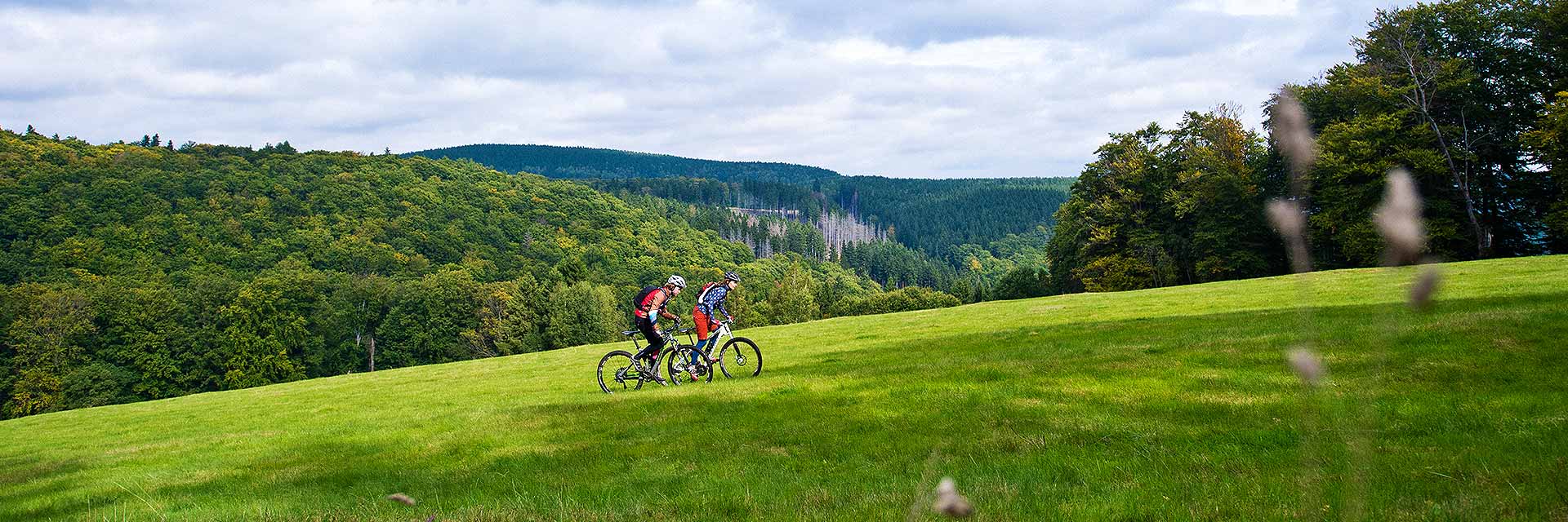 Ahorn harz hotel braunlage