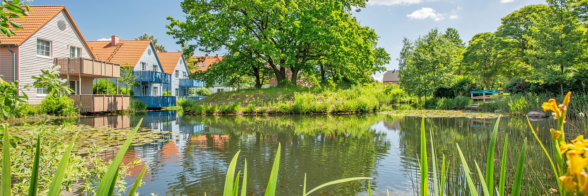 Beech resort fleesensee