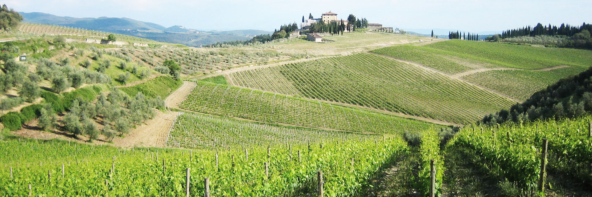 Hotel villa delle rose