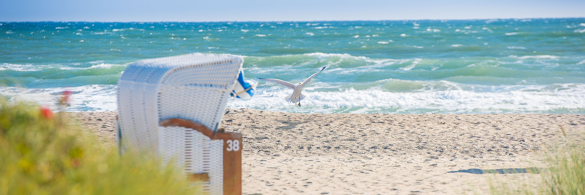 The flamingo timmendorfer strand