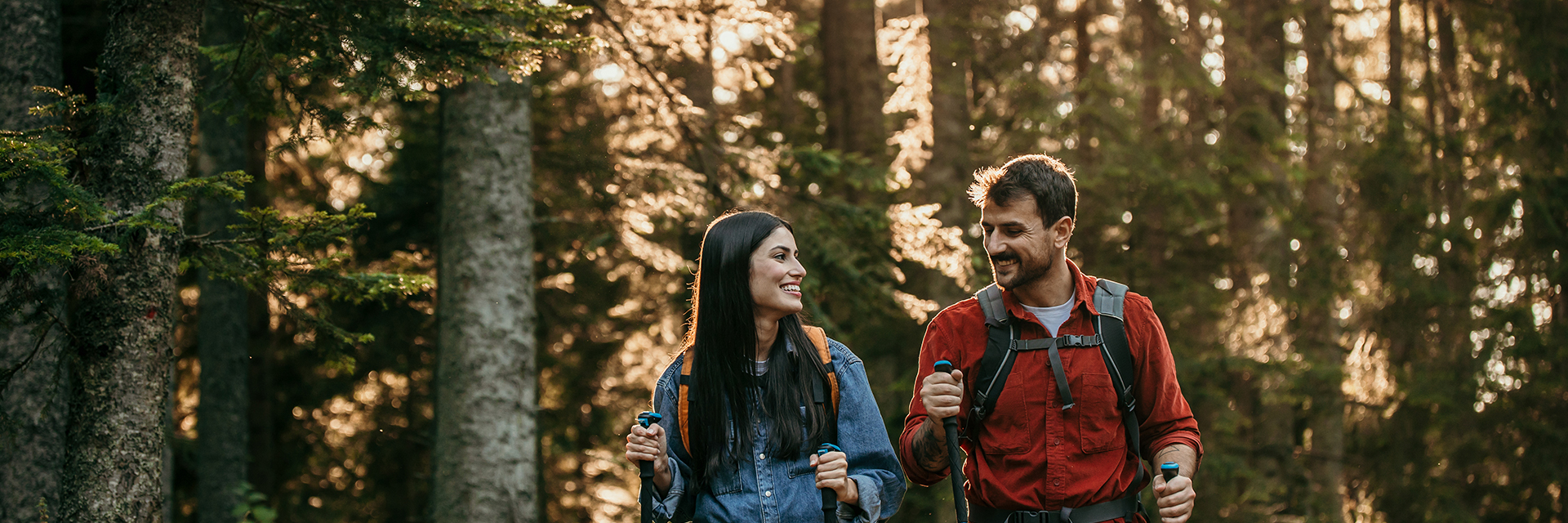 Achat hotel franziskushohe