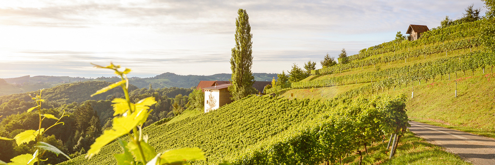 Burghotel schlaining