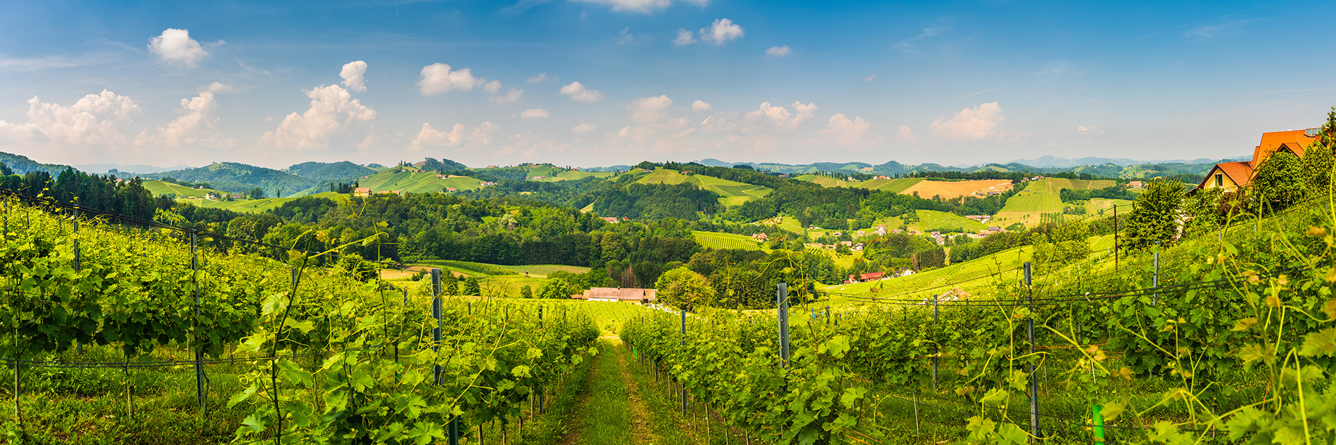 Schloss hotel gabelhofen