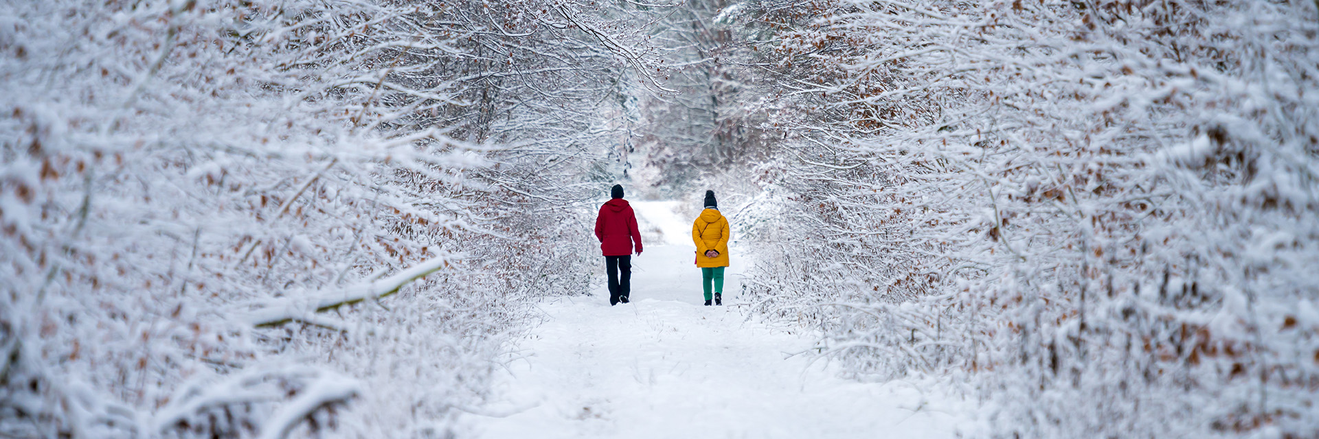 Hotel gut schoneworth
