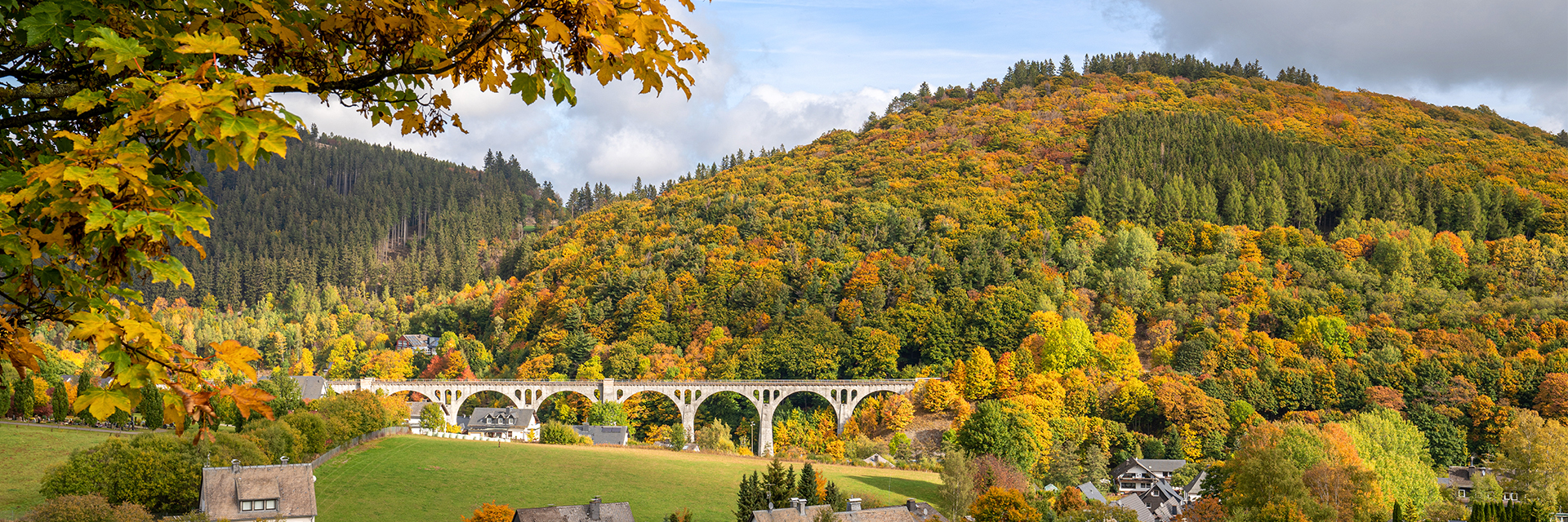 Hotel sauerlander hof