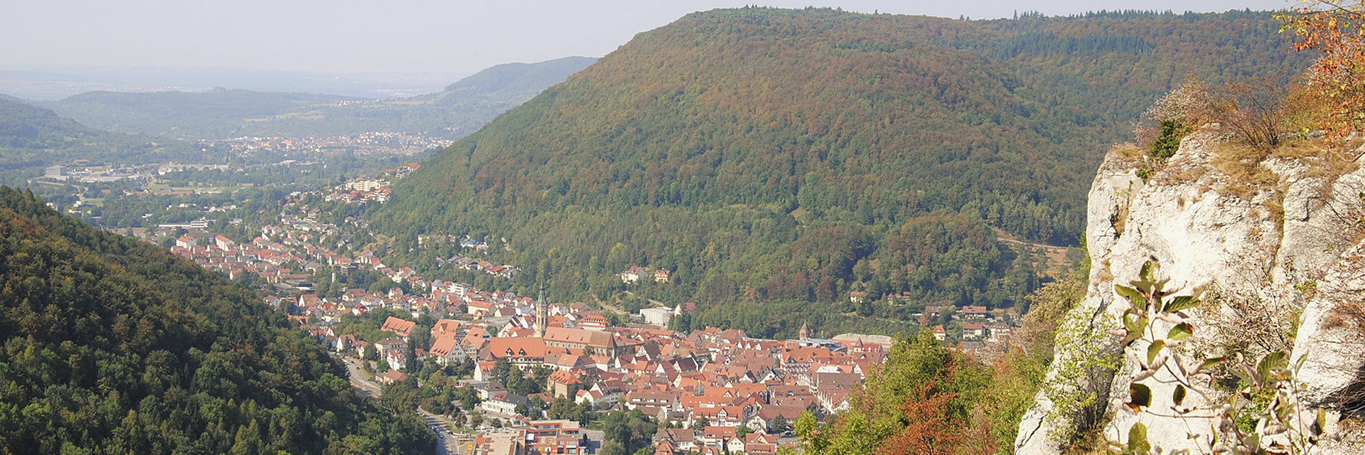 Biospharenhotel graf eberhard