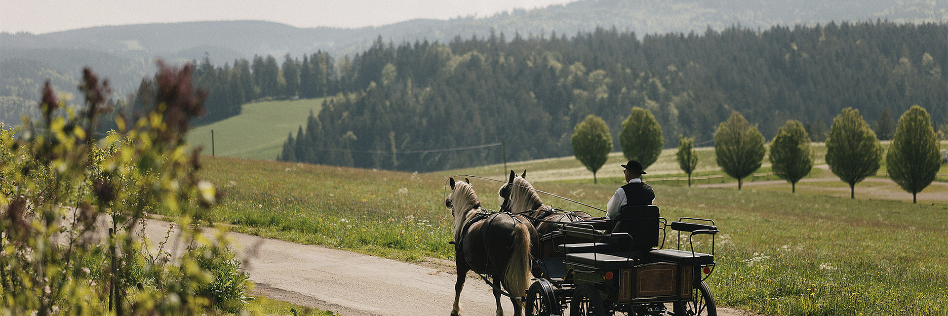 Der hirschen st margen